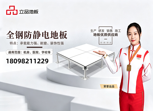 广东立品地板汕尾线上分站